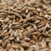 Rye Malt | Weyermann®